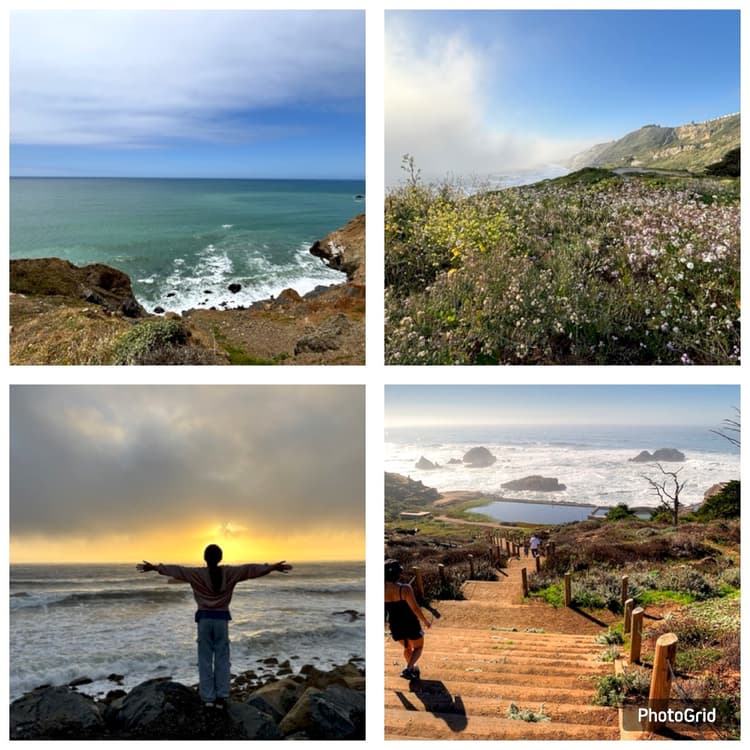 Cover Image for 3 Underrated but Beautiful Parks in the Bay Area
