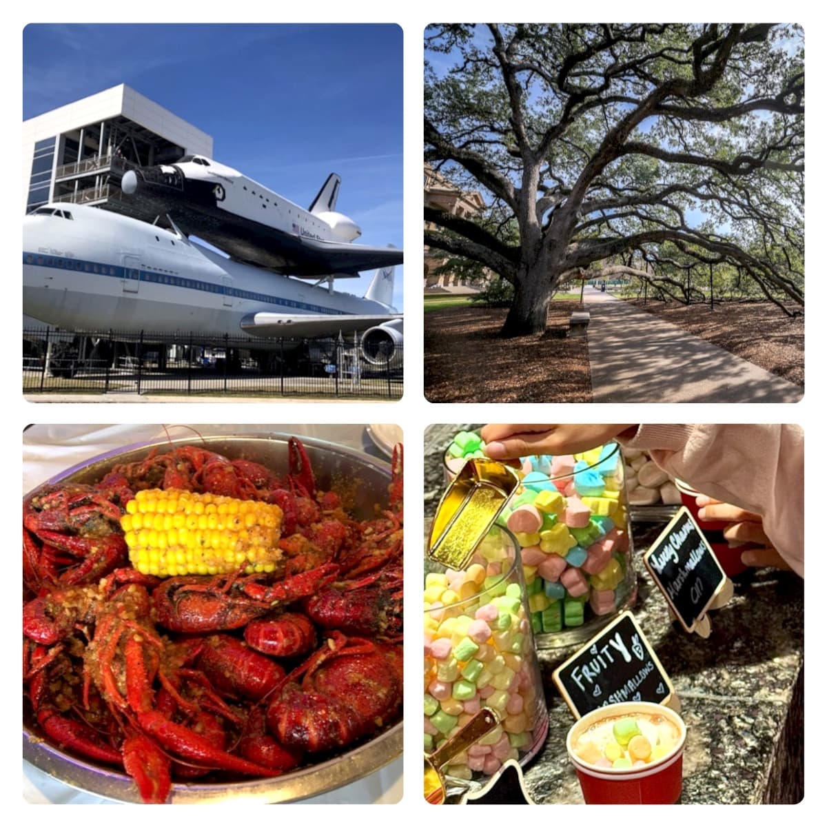 Cover image for Places to Visit in Houston, Texas