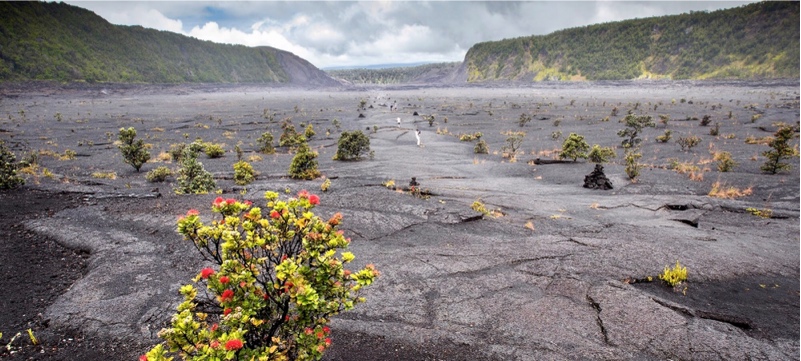 Big Island National Park