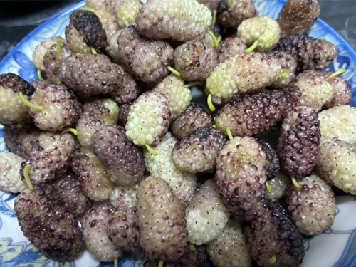 Mulberries