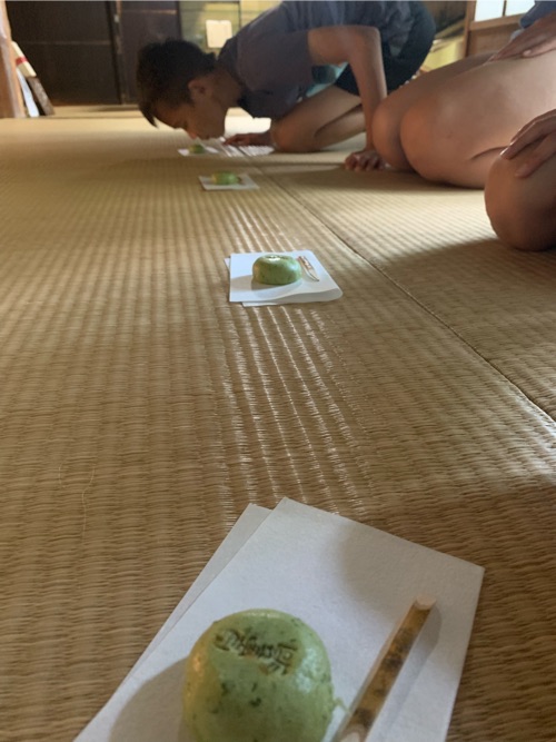 wagashi-tea-ceremony